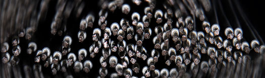 künstlerische Fotografie